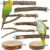 8 PCS Bird Perch Set for Cage – Natural Apple Wood Platforms & Hardwood Branches for Parakeets, Budgies, Cockatiels – Small Bird Habitat Gym, Climbing Stand & Safe Chew Toys