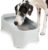 Neater Pet Brands Extra Large Water Bowl for Dogs, Outdoor Dog Water Bowl (2.25 Gallon XL Capacity), Big Trough Style Food Dish for Indoors or Outside, No Spill Large Dog Bowls, Vanilla Bean