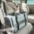 PETSFIT Soft-Sided Cat Carrier with Patented Safety Buckles, Lockable Zippers & Safety Tether,Escape-Resistant Travel Pet Carrier for Car Rides & Vet Visits, Airline Approved Under-Seat, Up to 12 lbs