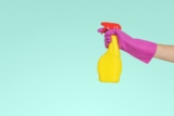 How to Create a Pet-Friendly Cleaning Routine